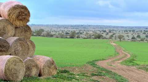 Parco dell'Alta Murgia, facile perdersi senza indicazioni: ma c' chi ci sta pensando